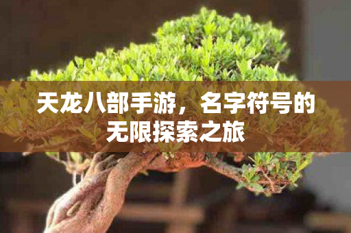 名字符号的无限探索之旅图片