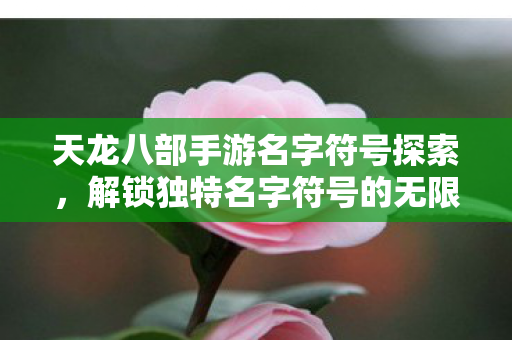 解锁独特名字符号的无限可能图片