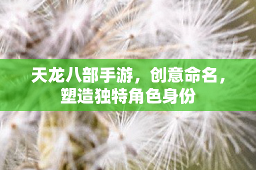 塑造独特角色身份图片
