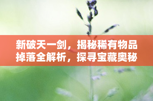 揭秘稀有物品掉落全解析图片