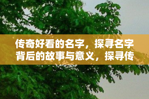 探寻传奇名字背后的故事与意义图片
