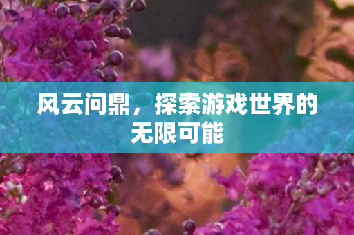 探索游戏世界的无限可能图片