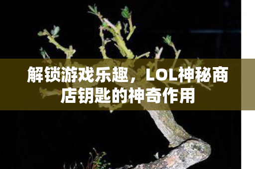 LOL神秘商店钥匙的神奇作用图片