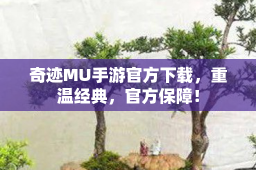 奇迹MU手游官方下载,重温经典,官方保障! 奇迹MU手游官方下载,重温经典,官方保障!