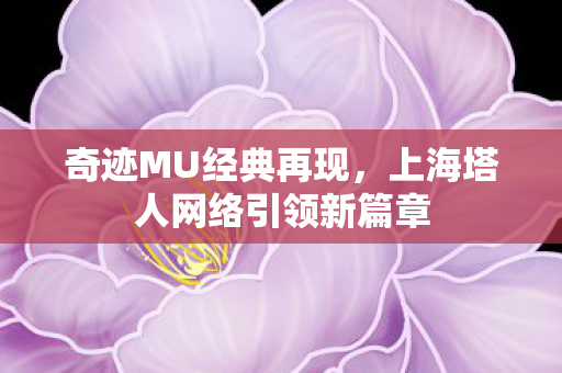 上海塔人网络引领新篇章图片