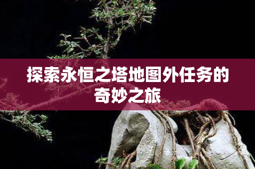 探索永恒之塔地图外任务的奇妙之旅 探索永恒之塔地图外任务的奇妙之旅