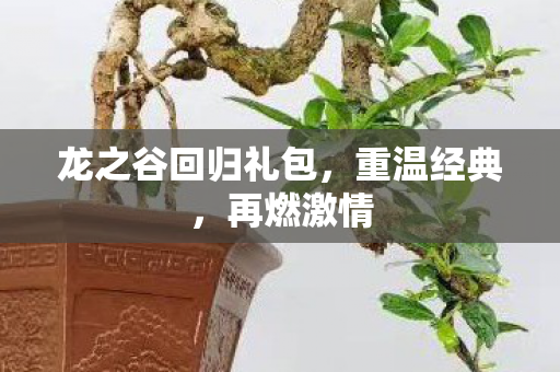龙之谷回归礼包图片