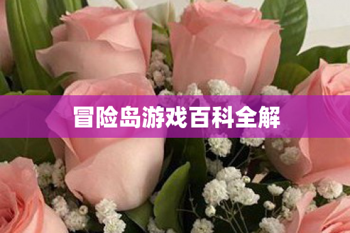 冒险岛游戏百科全解图片
