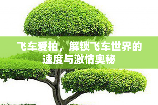 解锁飞车世界的速度与激情奥秘图片