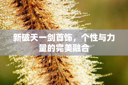 个性与力量的完美融合图片
