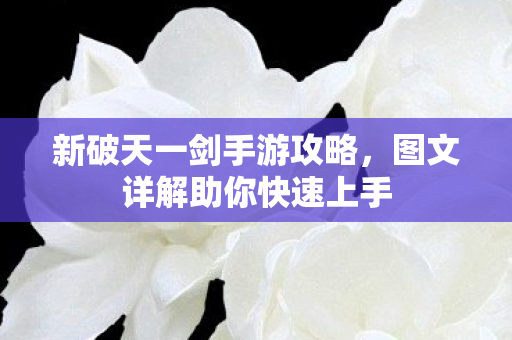 图文详解助你快速上手图片