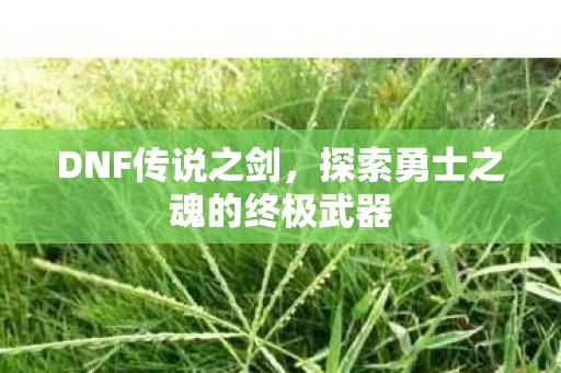 探索勇士之魂的终极武器图片