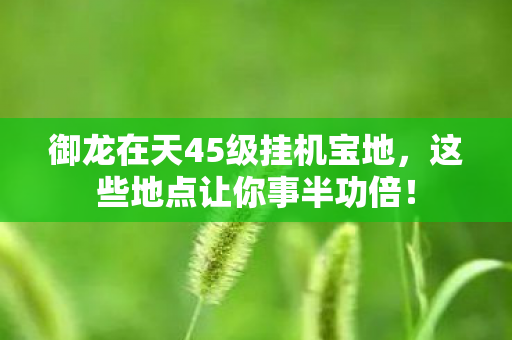 御龙在天45级挂机宝地图片