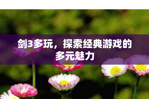 探索经典游戏的多元魅力图片