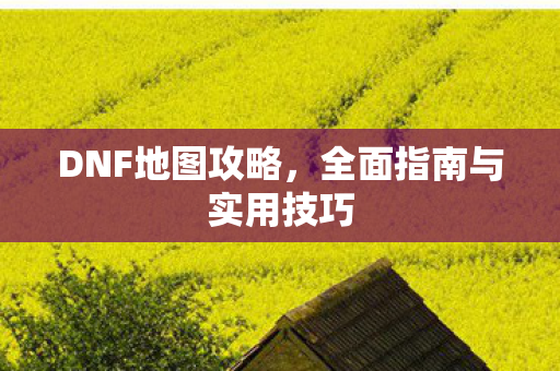 全面指南与实用技巧图片