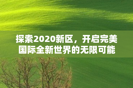 开启完美国际全新世界的无限可能图片