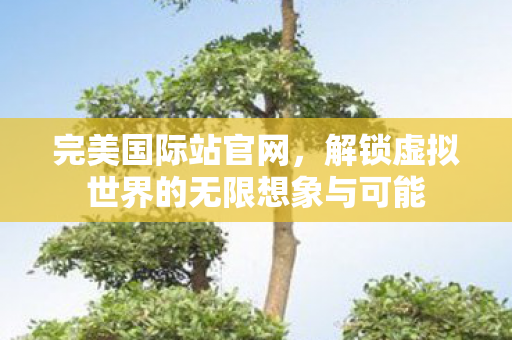 解锁虚拟世界的无限想象与可能图片