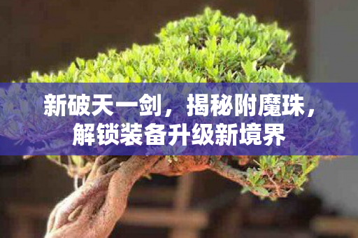 解锁装备升级新境界图片