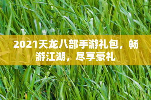 2021天龙八部手游礼包图片