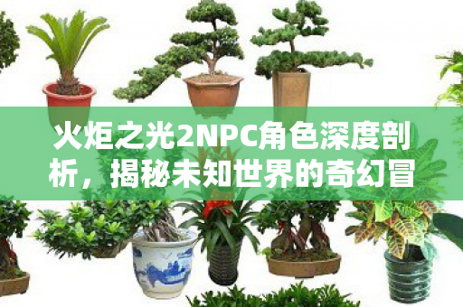 火炬之光2NPC角色深度剖析图片