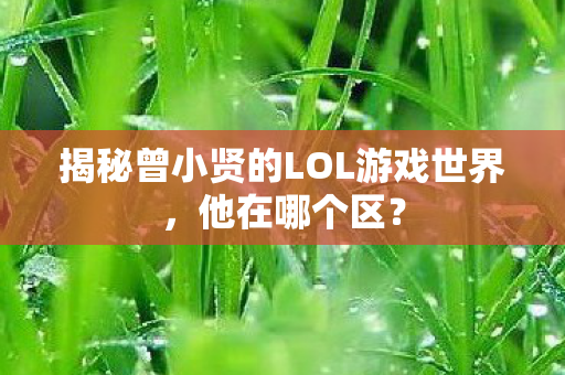 揭秘曾小贤的LOL游戏世界图片