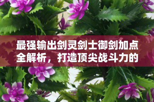 最强输出剑灵剑士御剑加点全解析图片