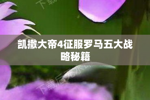 凯撒大帝4征服罗马五大战略秘籍图片