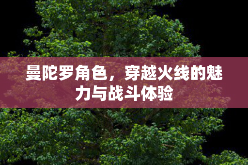穿越火线的魅力与战斗体验图片