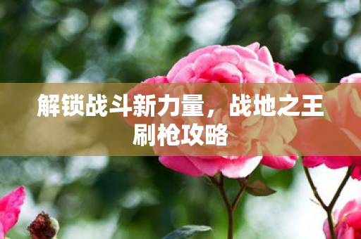战地之王刷枪攻略图片