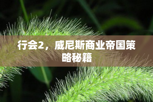 威尼斯商业帝国策略秘籍图片
