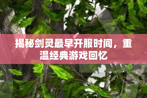 揭秘剑灵最早开服时间图片