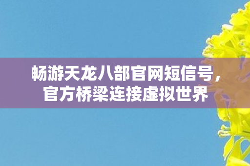畅游天龙八部官网短信号图片