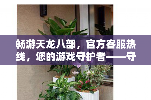 守护您的游戏之旅图片