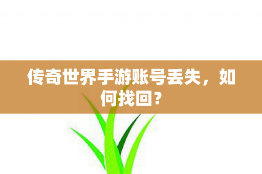 传奇世界手游账号丢失图片