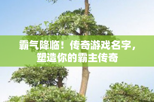 塑造你的霸主传奇图片