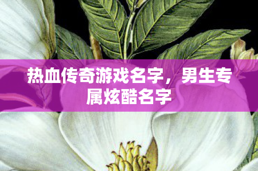 热血传奇游戏名字图片