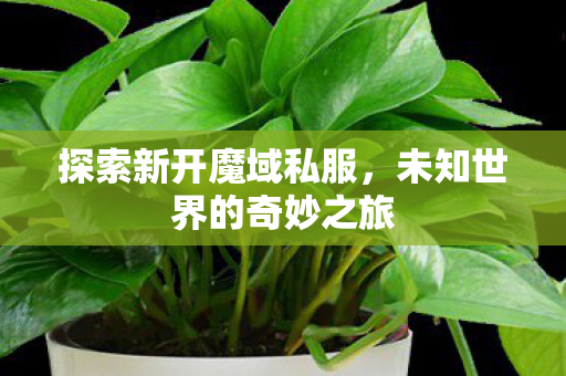未知世界的奇妙之旅图片