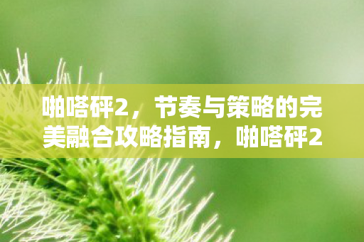 节奏与策略的完美融合攻略指南图片