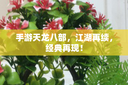 手游天龙八部图片