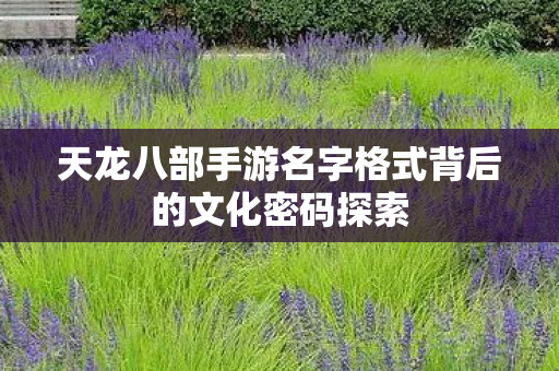 天龙八部手游名字格式背后的文化密码探索图片