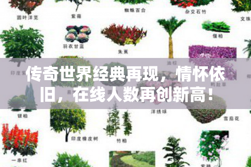 传奇世界经典再现图片
