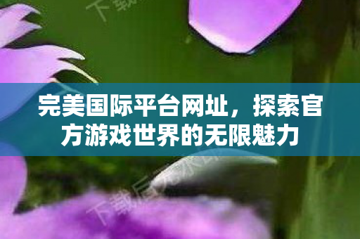 探索官方游戏世界的无限魅力图片