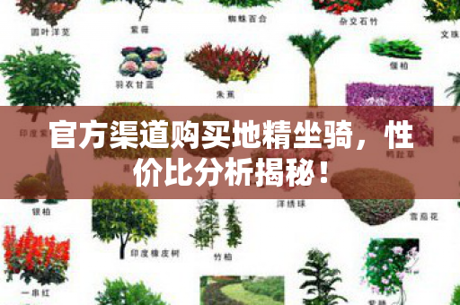官方渠道购买地精坐骑图片