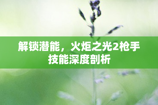 火炬之光2枪手技能深度剖析图片