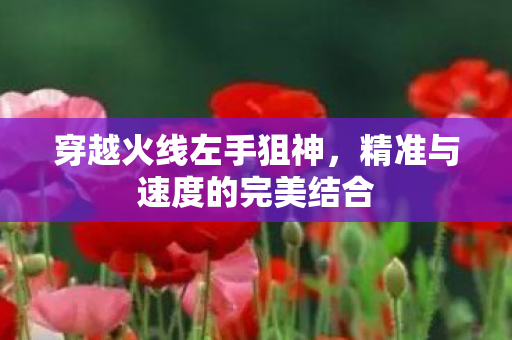 精准与速度的完美结合图片