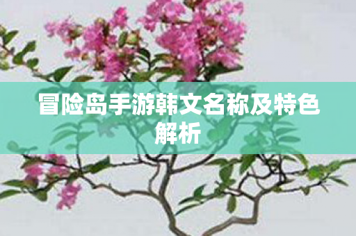 冒险岛手游韩文名称及特色解析