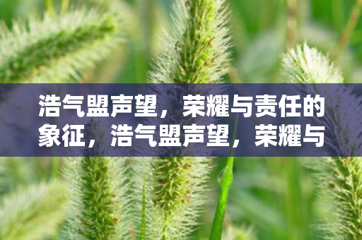 荣耀与责任的象征图片