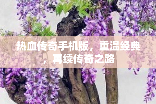热血传奇手机版图片
