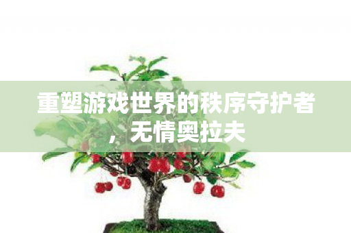 重塑游戏世界的秩序守护者图片