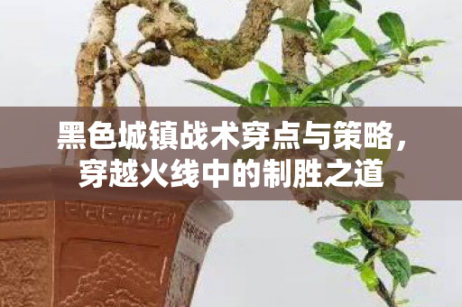 黑色城镇战术穿点与策略图片